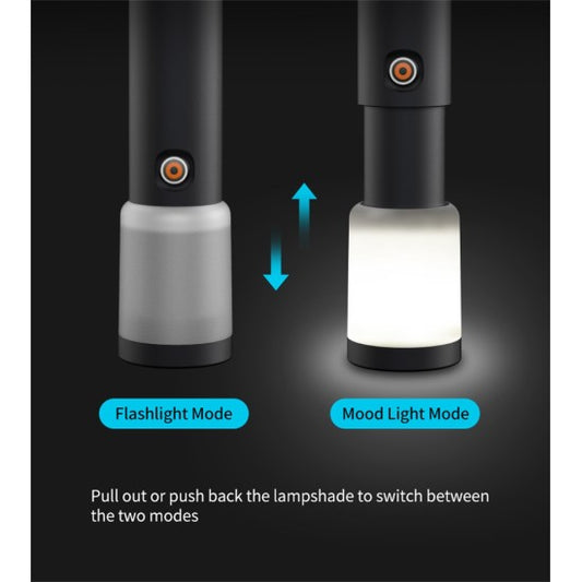FLASHLIGHT